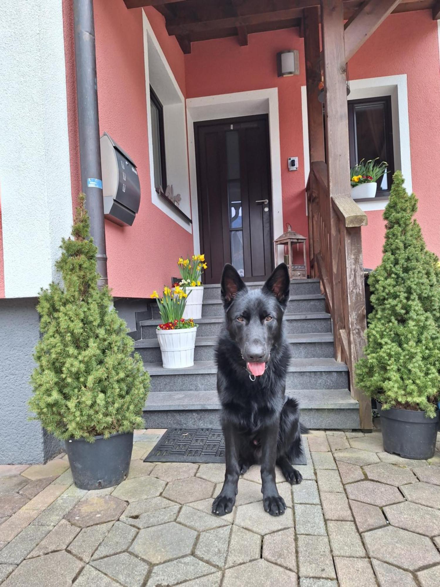 Haus Hoell Herta Hallstatt Dış mekan fotoğraf